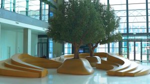 Sharjah Research, Technology and Innovation (SRTIP) to host Women in Technology Forum & Awards on September 20