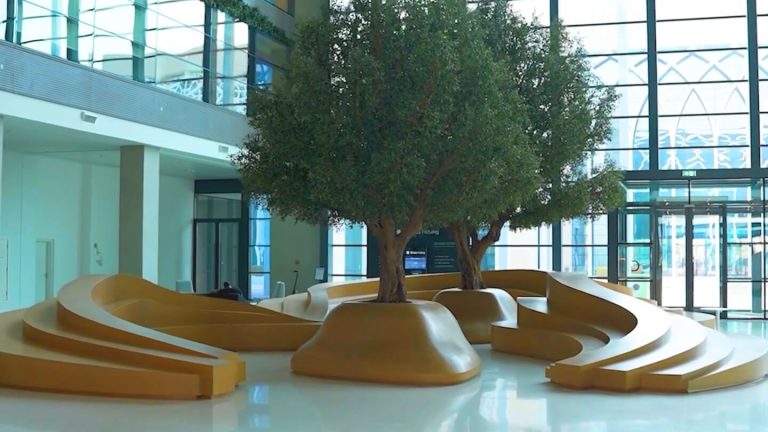 Sharjah Research, Technology and Innovation (SRTIP) to host Women in Technology Forum & Awards on September 20